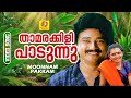 താമരക്കിളി പാടുന്നു Thamarakkili Paadunnu Evergreen Romantic Son
