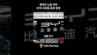 BYD 브라질 공장, 노동 착취 논란