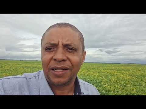 Curso de  manejo de Plantas daninhas em Jatai-Goias #agro #jatai #agricultura 