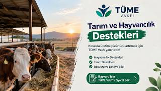 TARIM VE HAYVANCILIK DESTEKLERİ VE BAŞVURU /Nasıl yapılır