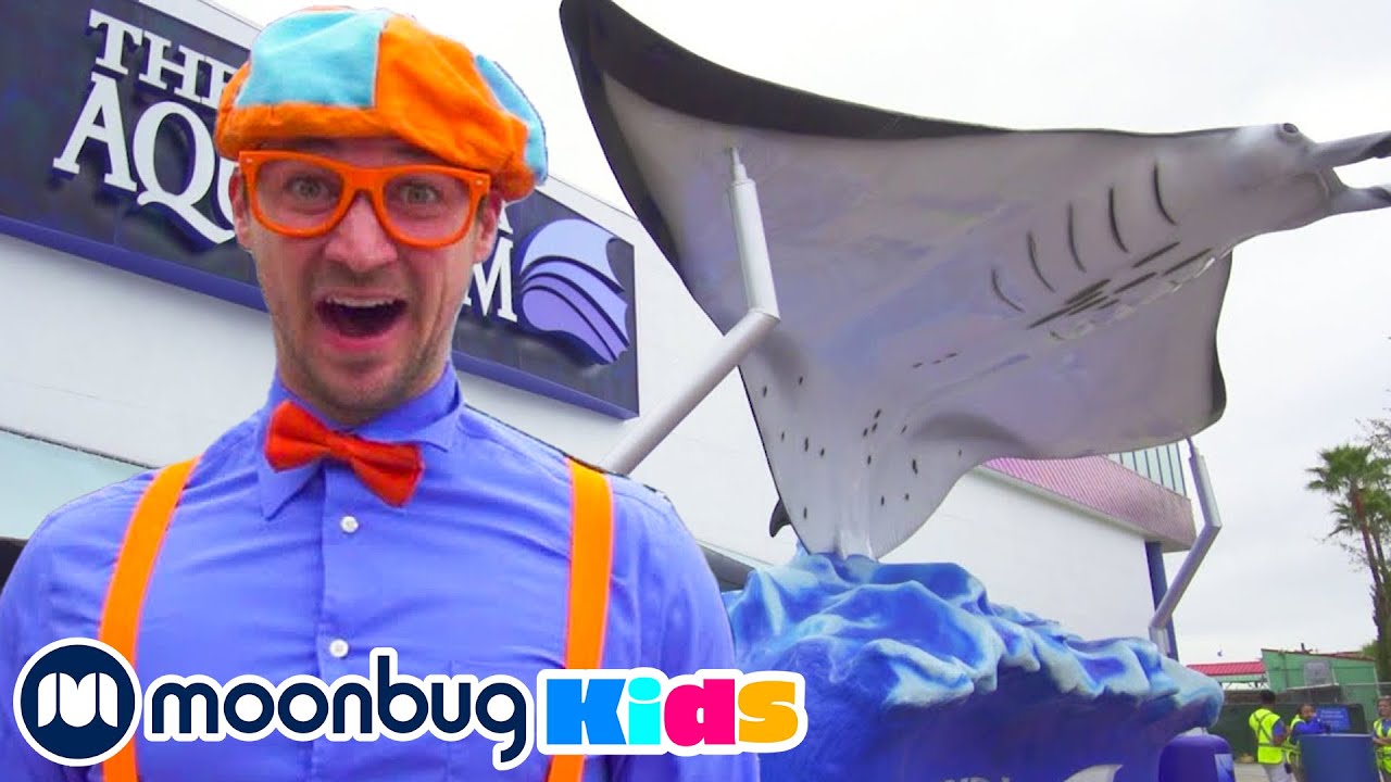 🐟 Blippi Visita um Aquário (Aquário de Flórida) 🐟 | 1 HORA DE BLIPPI | Moonbug Kids em Português