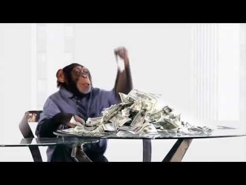 Quit Monkeying Around! | Start Selling Better - Clickx