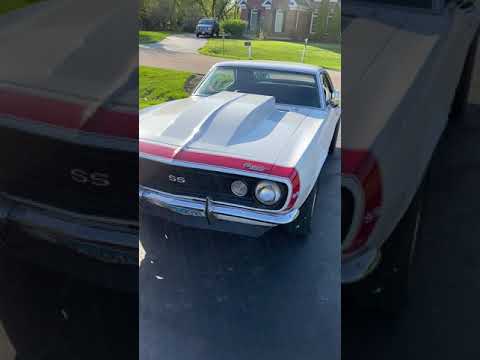 1967 Chevrolet Camaro SS (CC-1522042) for sale in St Charles, Illinois