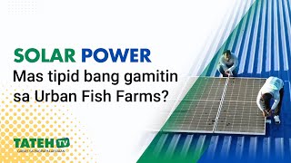 Solar power, gaano ito ka-episyente sa urban farming | TatehTV Episode 162