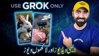 Micro-Animal Video Creation — Step-by-Step Guide & Transcript