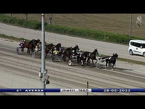 Aversa trotto 28 Maggio 2022 - 5° Corsa