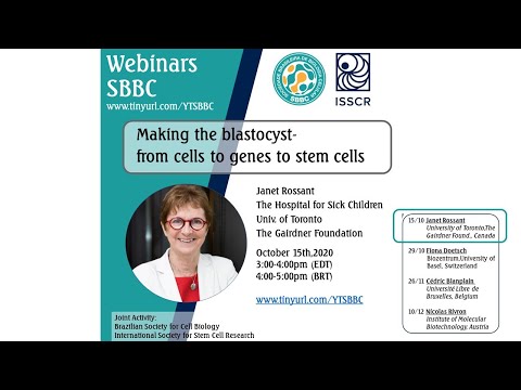 Making the blastocyst : from cells to genes to stem cells