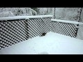 Dec26 033