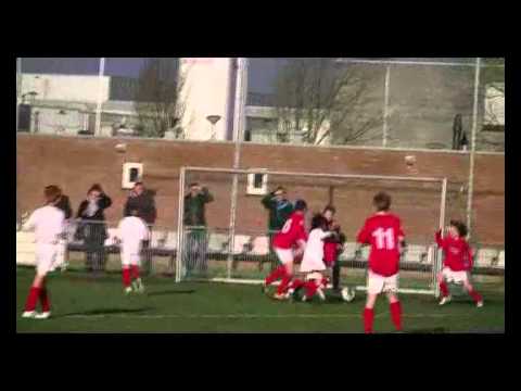 DVO E2 - DVO D2, deel 1/2 Samenvatting