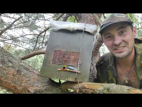 Пчеловодство. Роеловство. Снимаю последние рои в этом сезоне! #Роеловство