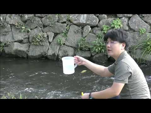 学科ニュース013 地域創成フィールド実習（一）（水質サンプル採取）
