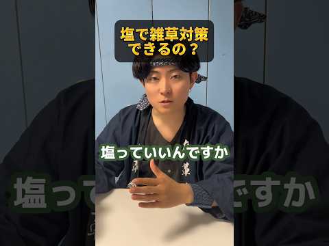 庭に塩をまく：植物にとって有益ですか？  庭園