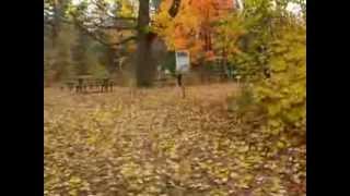 Hibertisme pour enfant SAINT-JÉROME .qc