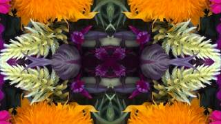 steppin' stone (by Boz Scaggs live in San Francisco 1971)