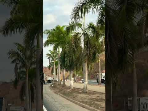 Chegando em Rio Casca Minas ￼