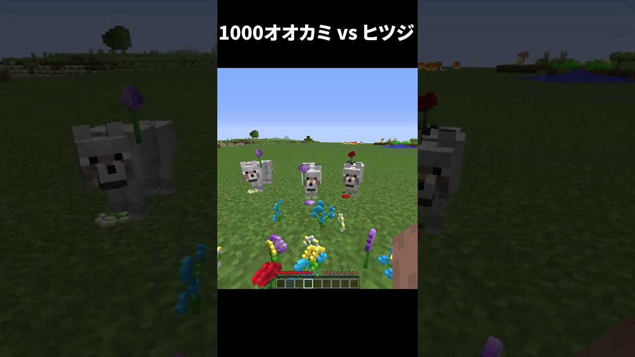 1000匹のオオカミ vs 1ヒツジ