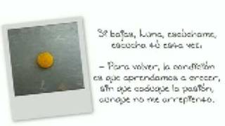 Alejandro Sanz - La margarita dijo no