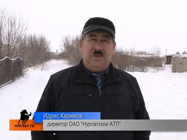 Срок 1 неделя