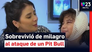 ‘Fue aterrador’: madre relata ataque de pit bull a su hija en Florida