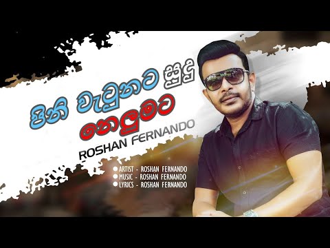 Pini Watunata Sudu Nelumata (පිනි වැටුනට සුදු නෙලුමට) - Roshan Fernando | Sinhala best Songs |Lyrics