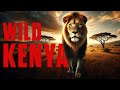 WILD KENYA  Diverse Nature Of Kenya Full Documentary