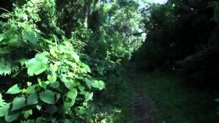 Rick Wakeman Stairway to Heaven