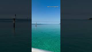 WATCH MY CRUISE VLOG! @liliv158