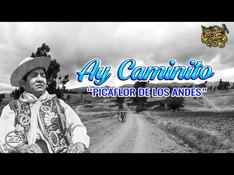 Picaflor de los Andes - ¡AY! CAMINITO