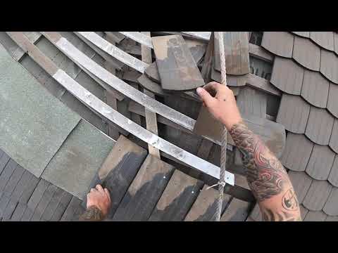 Hechtgaube mit Biber decken - Fliehende Biberkehle - Live vom Biberdach in Gersdorf