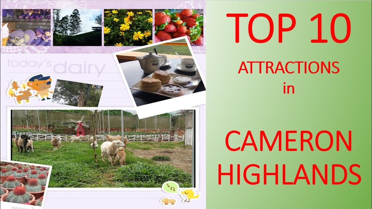 Top 10 Attractions in Cameron Highlands 2020 3D2N Things to Do│ Travel Malaysia Itinerary 金马伦高原景点