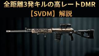 【Battle Field6】高レート3発キルDMR【SVDM】解説 【BATTLEFIELD6-BF6" 】