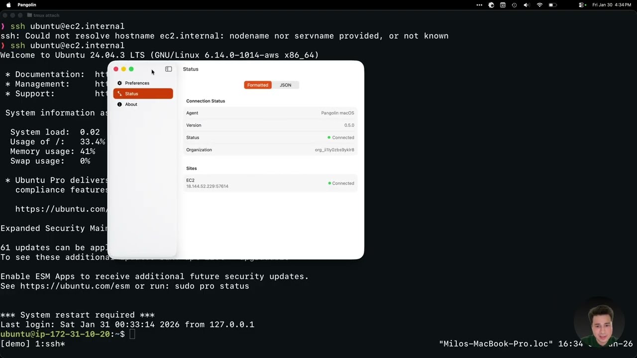 What is Pangolin in less than 4 minutes