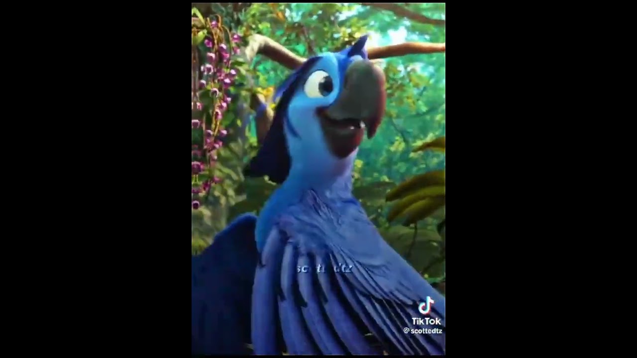 Rio 💙 #rio #disney #disneymovies #disneyland #disneyprincess #waltdisneyworld