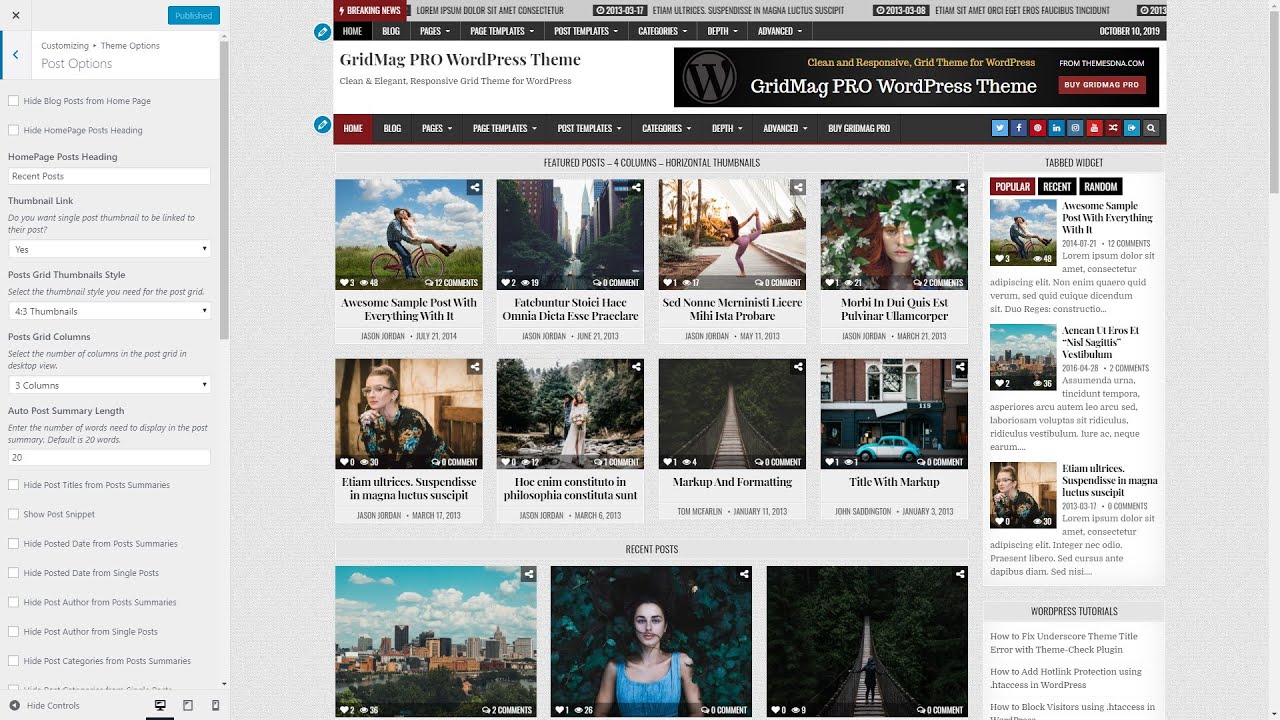 Customizer Theme Options - GridMag PRO WordPress Theme