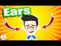 BODY PARTS Vocabulary In ENGLISH For PRESCHOOLERS