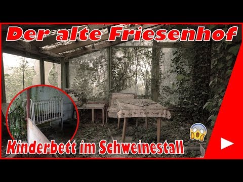 Lost Places #41 Der alte Friesenhof | Its Lost