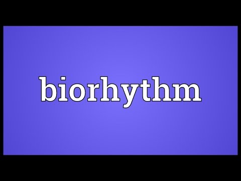 Biorhythm Meaning