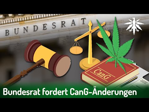 Video Thumbnail: Bundesrat fordert CanG-Änderungen | DHV-News # 445