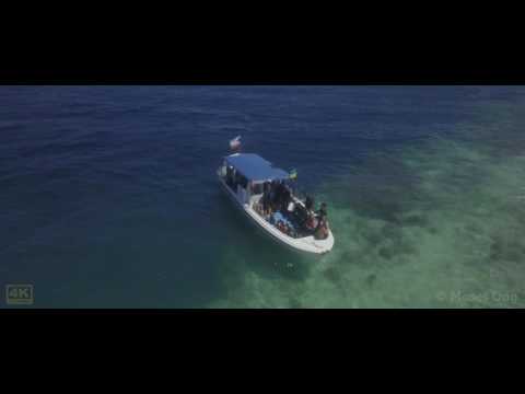 Beautiful Sabah (4K) - Tribute