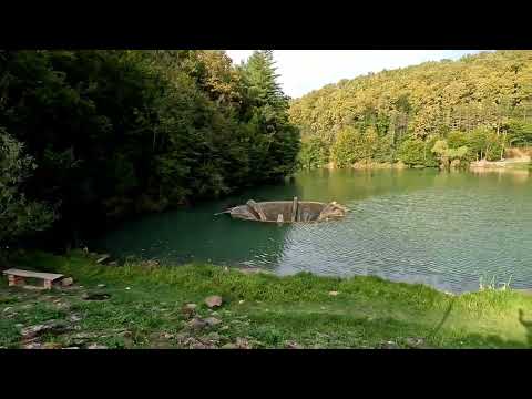 Moto ride: Lacul Vida-Zece Hotare-Tomnatic DJ767, DJ764