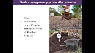 Microbes Under Your Fingernails? Using Community Science to Understand Soil-to-Skin Transfer