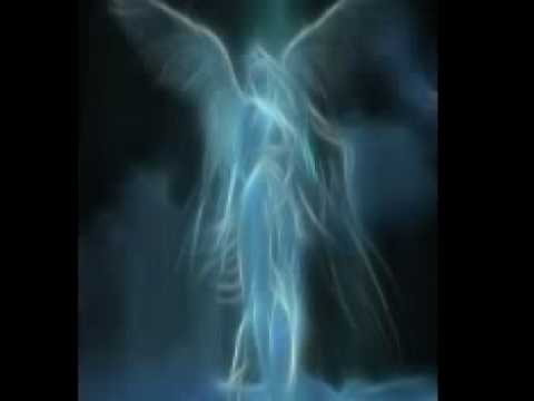 Sander van Doorn vs Orkidea - Daisy Metaverse (Rodri Santos Club Mashup)