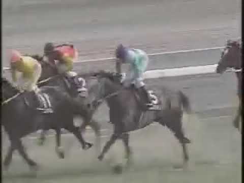 japans retro -  1992 天皇賞(春) メジロマックイーン