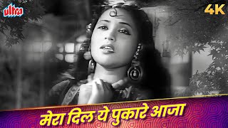 Download lagu Mera Dil Ye Pukare Aaja Original Song | Lata Mangeshkar Classic Hit | Vyjayanthimala |Superhit Gaane mp3