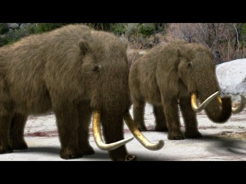 Mammoths Hunted for their Hides