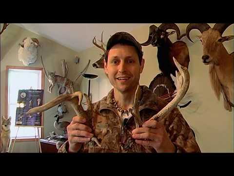 Chasing the Dream - 5 amazing traditional bow Hunts for Whitetail Deer in Indiana and Texas