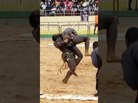 lutte Sénégalaise
