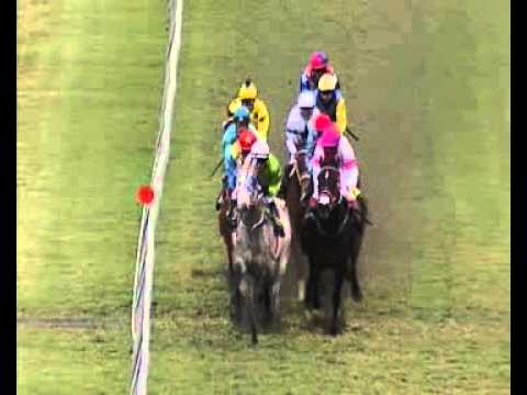 SMS Pariaz Video Meeting 33 Race 8 - 2013