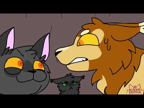 WHERE'S THE CAVE HOLE