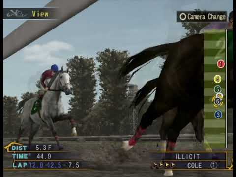 Seeing Stars Fountain of Youth Stakes 2019